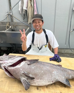 イシナギの釣果