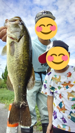 ブラックバスの釣果