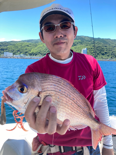 チダイの釣果