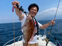 マダイの釣果