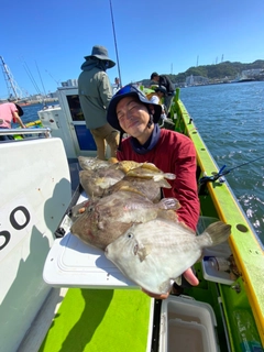 カワハギの釣果