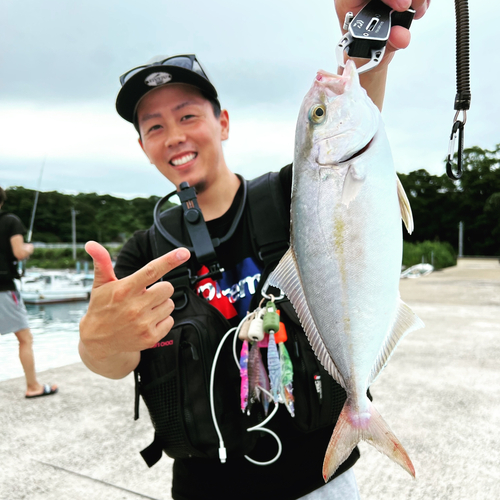 ネリゴの釣果