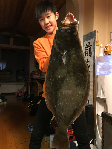 ヒラメの釣果