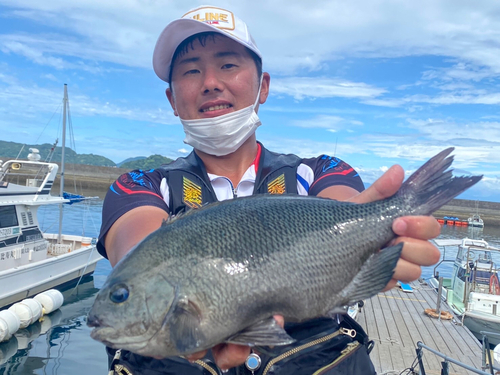 クチブトグレの釣果