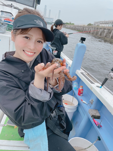 タコの釣果