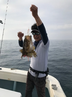クエの釣果