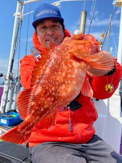アマダイの釣果