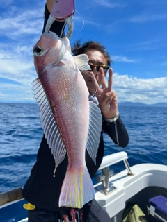 アマダイの釣果