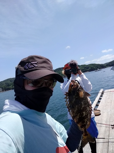 アイゴの釣果