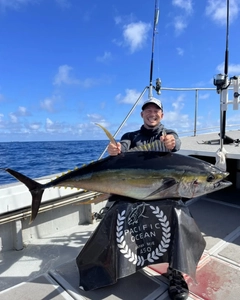 キハダマグロの釣果