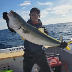 ブリの釣果