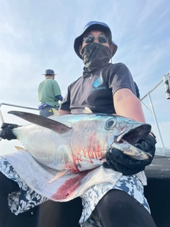 キハダマグロの釣果