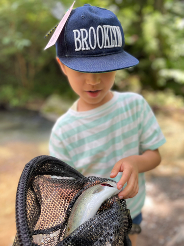 ニジマスの釣果