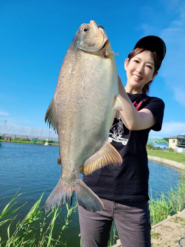 コロソマの釣果