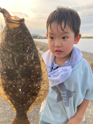 ヒラメの釣果