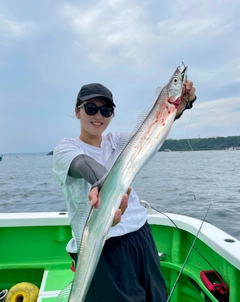 タチウオの釣果