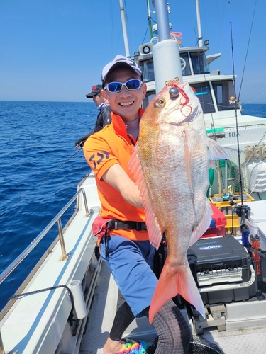 マダイの釣果