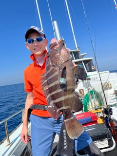 マハタモドキの釣果