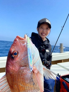 マダイの釣果