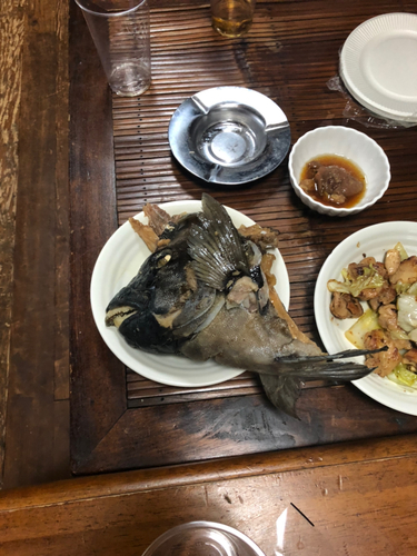 イシダイの釣果