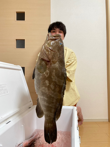 クエの釣果