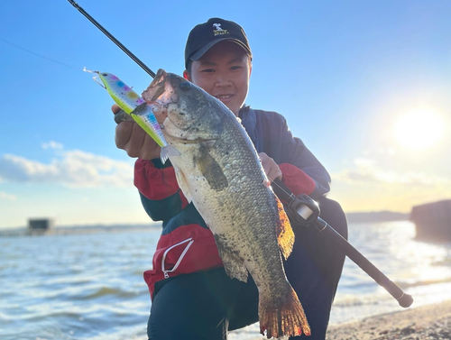 ブラックバスの釣果