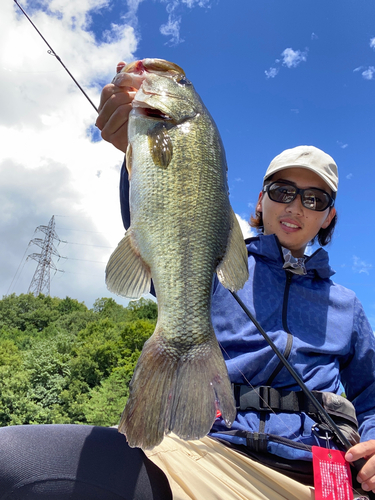 ブラックバスの釣果