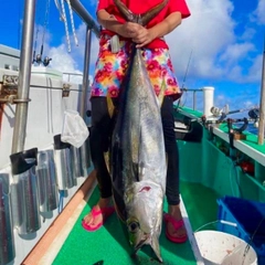 キハダマグロの釣果