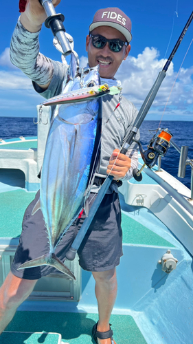 カツオの釣果