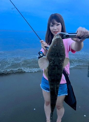 マゴチの釣果