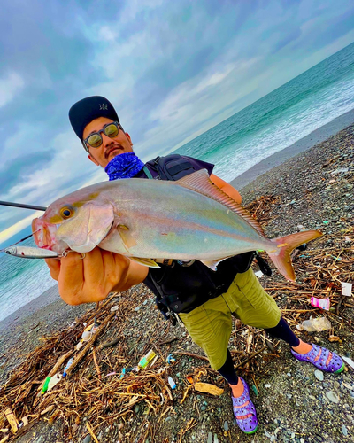 ショゴの釣果