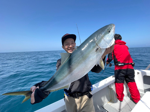 ブリの釣果