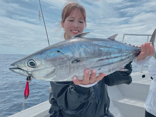 カツオの釣果