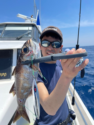 クロムツの釣果