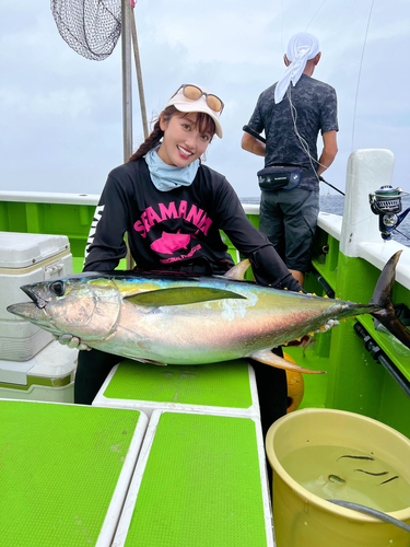 キハダマグロの釣果