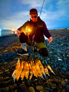 タチウオの釣果