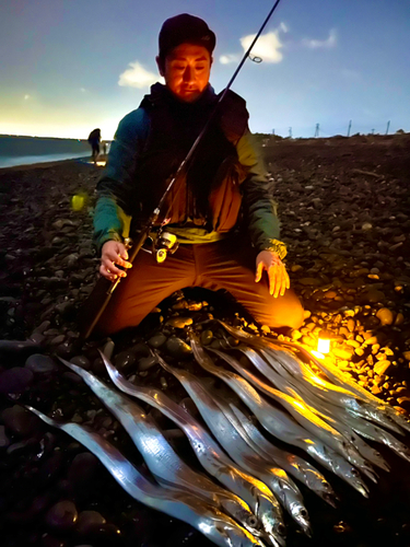 タチウオの釣果