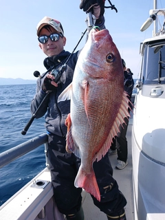 タイの釣果