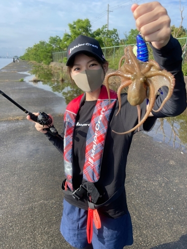 タコの釣果