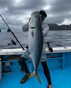 ブリの釣果