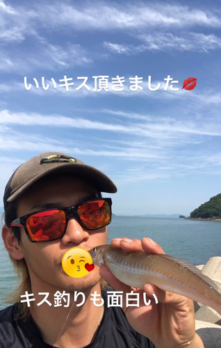 キスの釣果