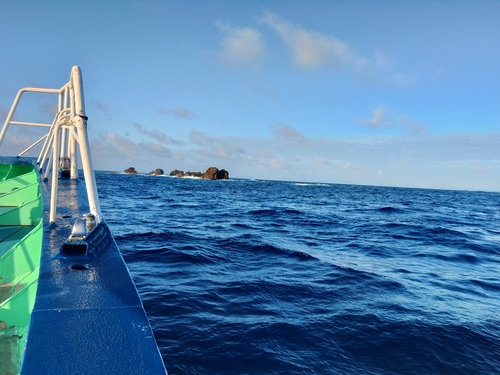 メイチダイの釣果