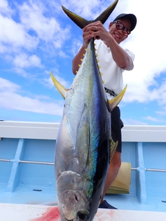 キハダマグロの釣果