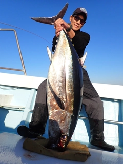 ビンチョウマグロの釣果