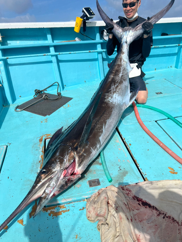 マカジキの釣果