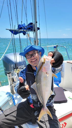 シオの釣果