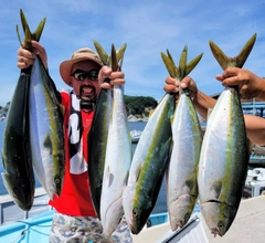 ハマチの釣果