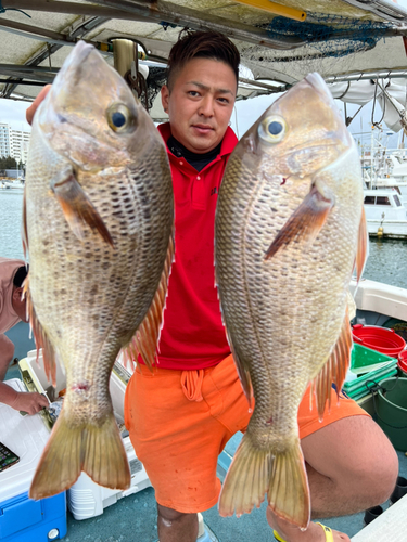 シロダイの釣果