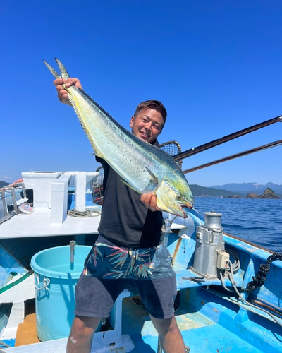 シイラの釣果