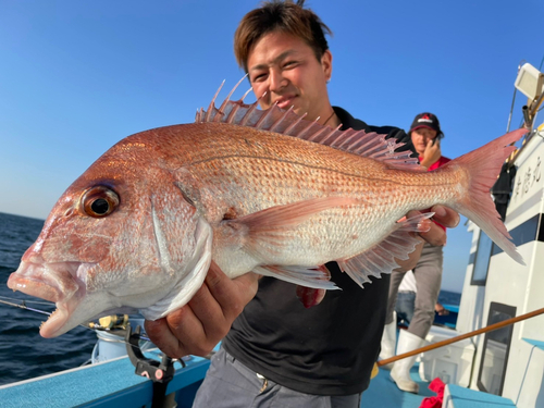 マダイの釣果